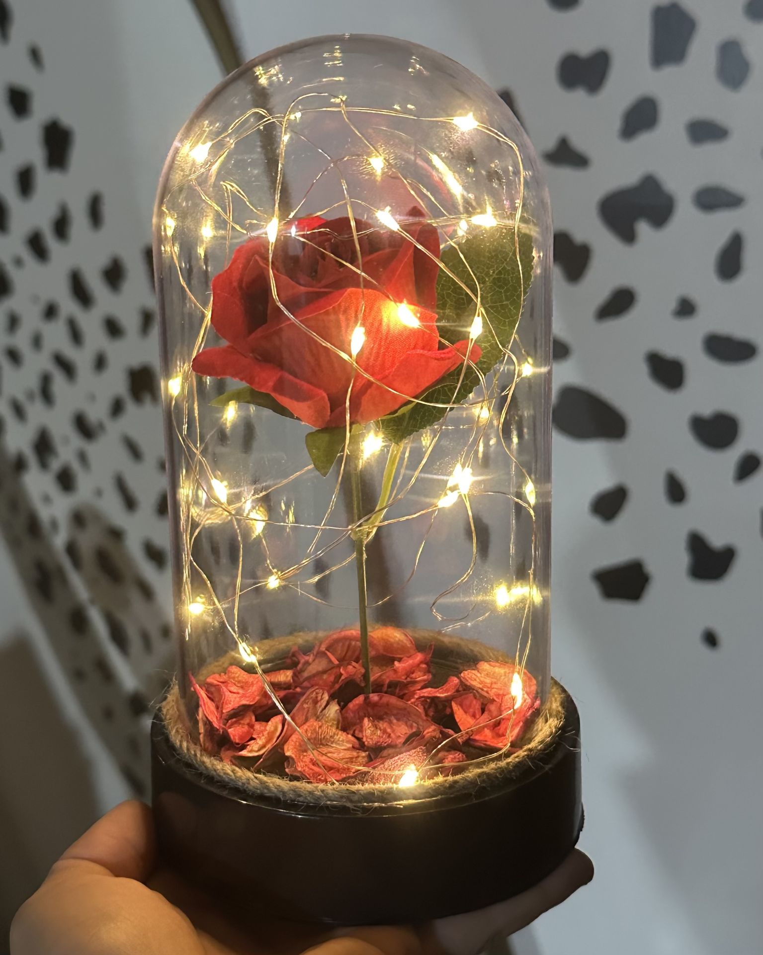 Led Işıklı Kırmızı Gül Fanus