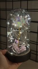 Sonsuzluk Gülü Led Işıklı Cam Fanus