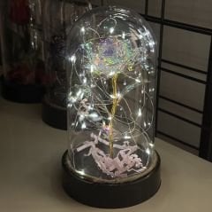 Sonsuzluk Gülü Led Işıklı Cam Fanus