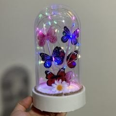Led ışıklı Renkli Kelebek Cam Fanus