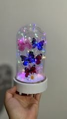 Led ışıklı Renkli Kelebek Cam Fanus