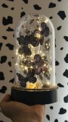 Led Işıklı Kelebek Cam Fanus Mor