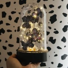 Led Işıklı Kelebek Cam Fanus Mor