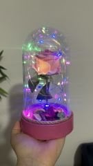 Renkli Led Işıklı Pembe Gül Fanus