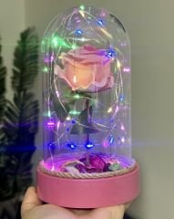 Renkli Led Işıklı Pembe Gül Fanus