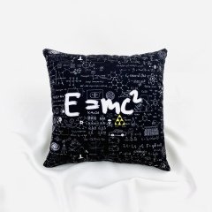 Emc2 Yastık