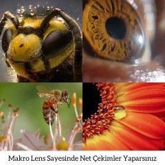 Clip Lens Seti